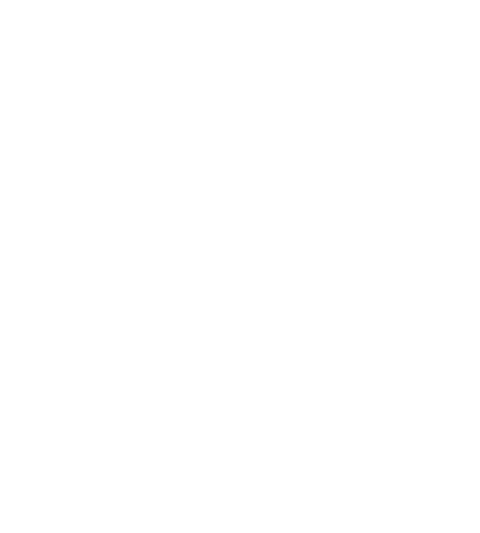 Logo-zt